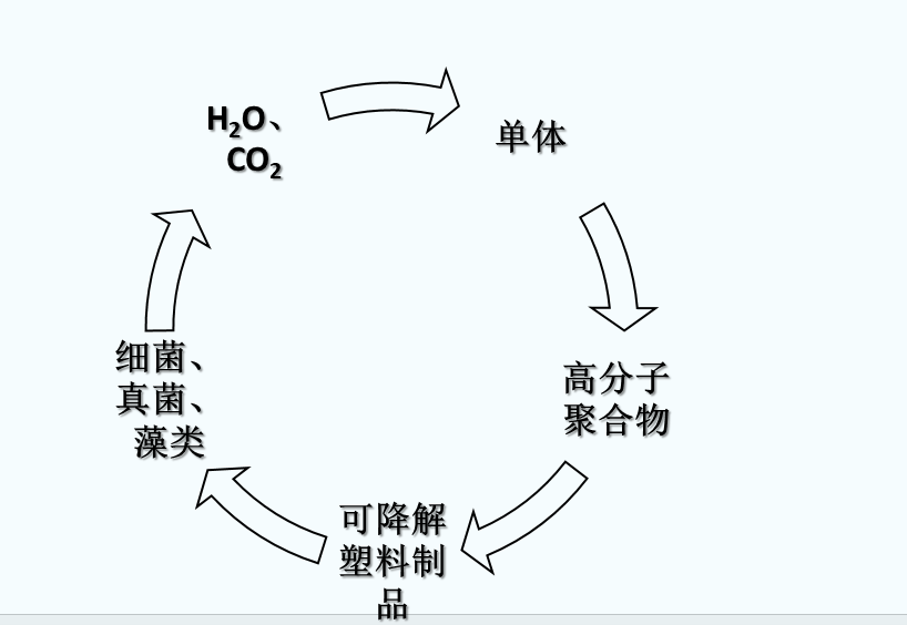 什么是可生物降解塑料？(圖1)