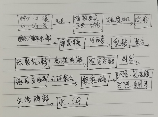 生物降解袋中的PLA是如何制得的？(圖1)